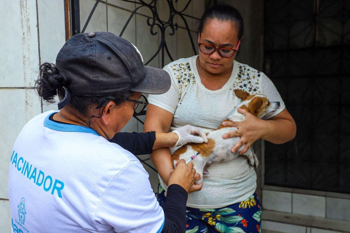 Campanha antirrábica da prefeitura imuniza cães e gatos em 16 bairros, na semana de 9 a 14/10