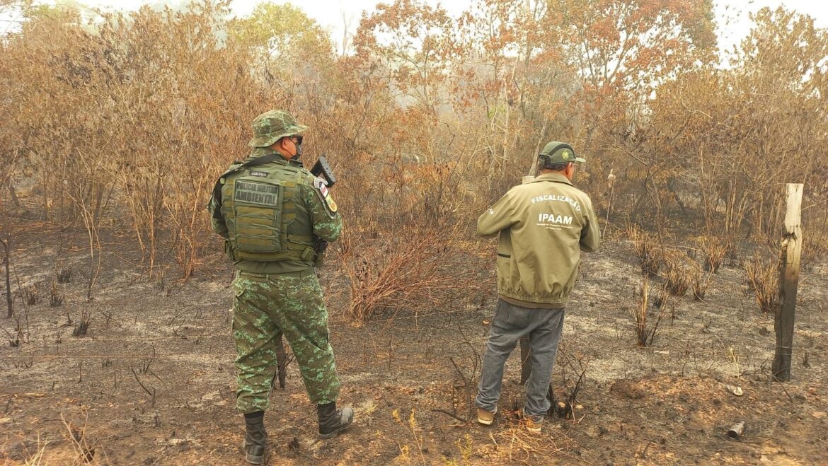 Ipaam realiza operações simultâneas em 6 municípios do Amazonas em conjunto com a SSP