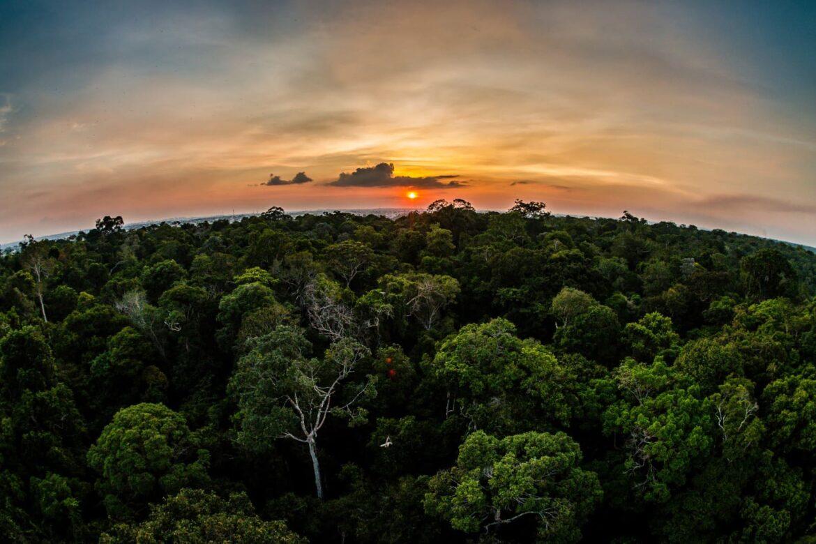 Sema prorroga envio de propostas de projetos de REDD+ para Unidades de Conservação