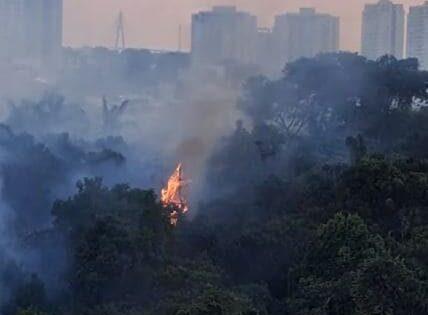 Incêndio toma conta de área verde próximo a Bola das Letras