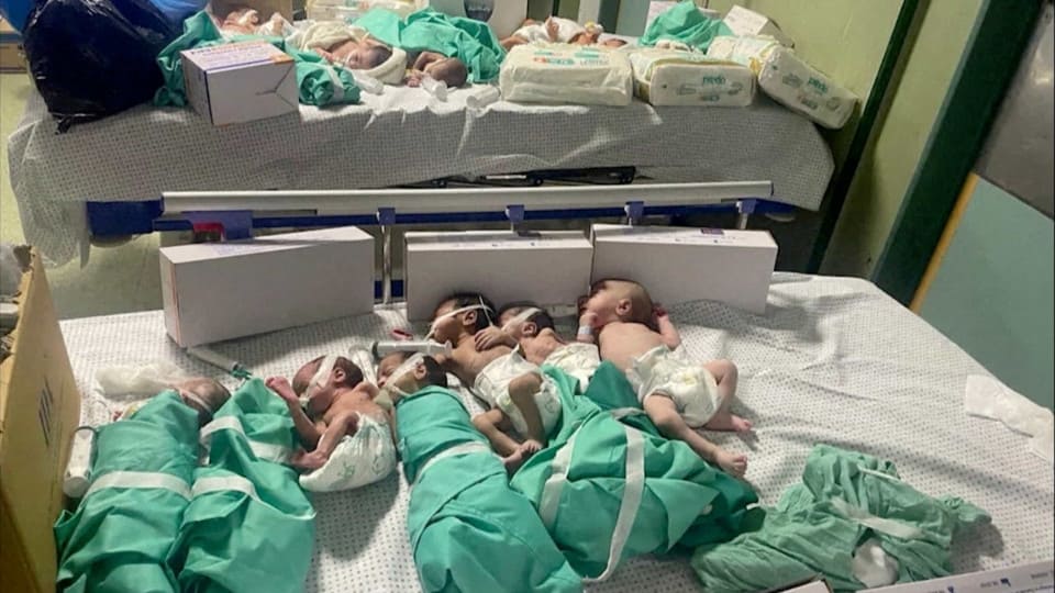 Egito recebe 28 bebês prematuros retirados de hospital na Faixa de Gaza, com apoio de Israel