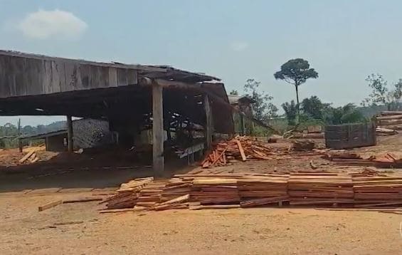 Ibama destrói 9 madeireiras clandestinas que retiravam madeira de terras indígenas no Amazonas