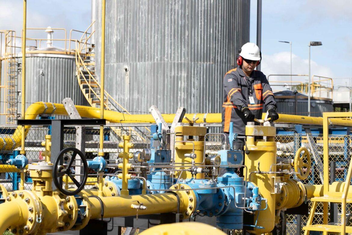 Investimentos da Cigás na rede de gás natural ultrapassam R$ 800 milhões