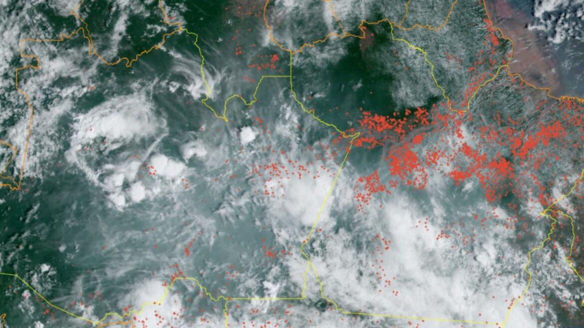 Satélites mostram influência de quimadas no Pará na fumaça que encobre Manaus e cidades no baixo Amazonas