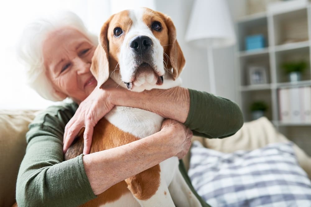 Idosos com cachorro têm 40% menos chances de demência, diz estudo