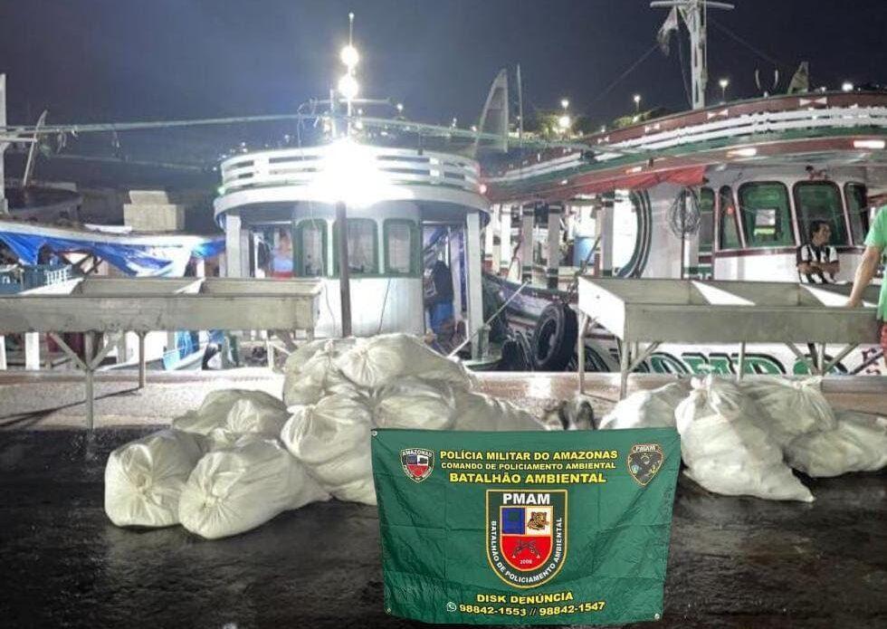 Polícia apreende mais de uma tonelada de pescado ilegal na feira da Panair