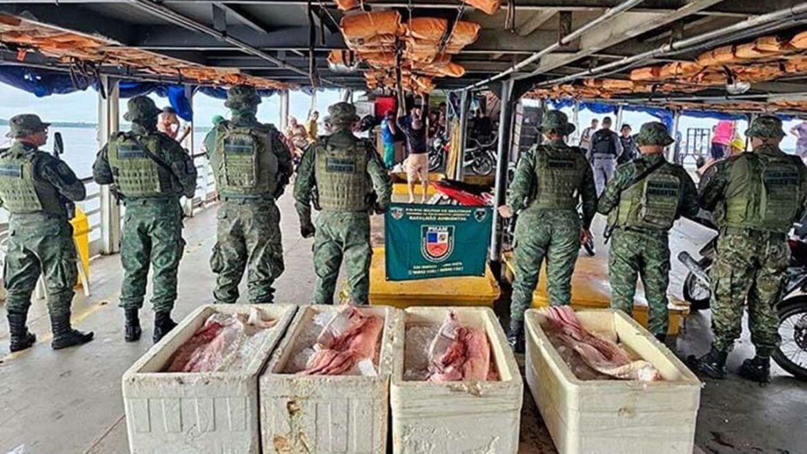 Batalhão Ambiental apreende cerca de 330 quilos de pescado ilegal