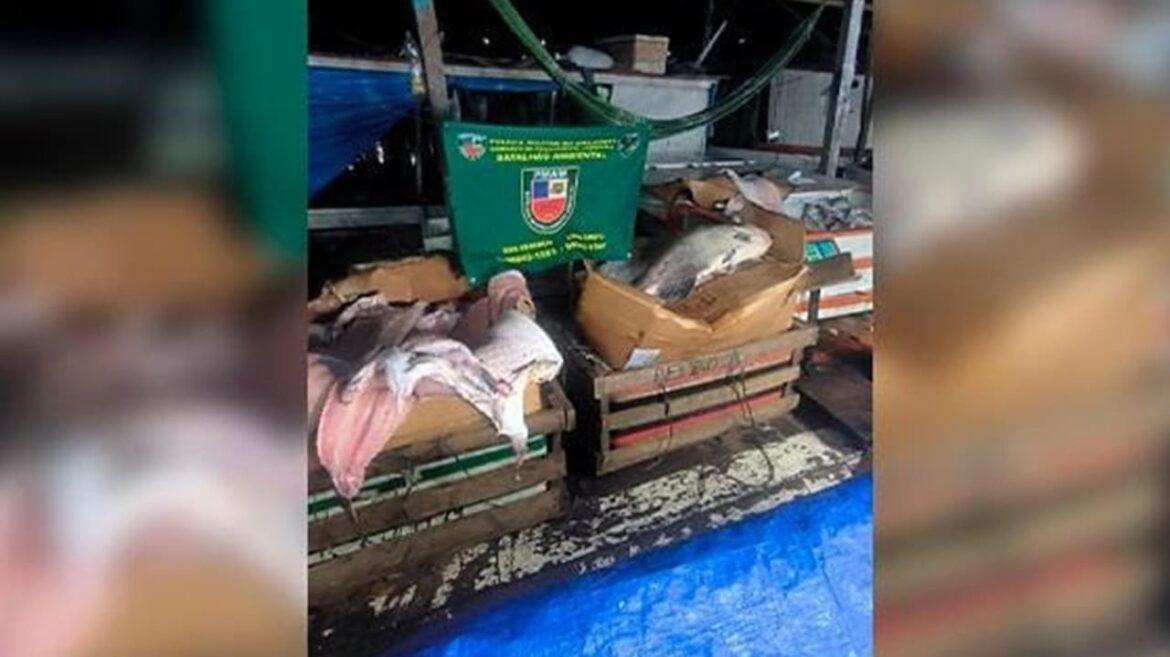 Mais de uma tonelada de pescado ilegal é apreendido na feira da Panair