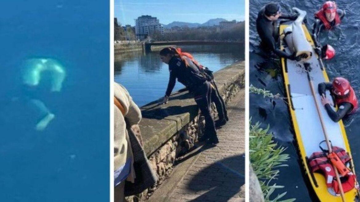 Falso alarme em San Sebastián: pernas boiando em rio eram de manequim