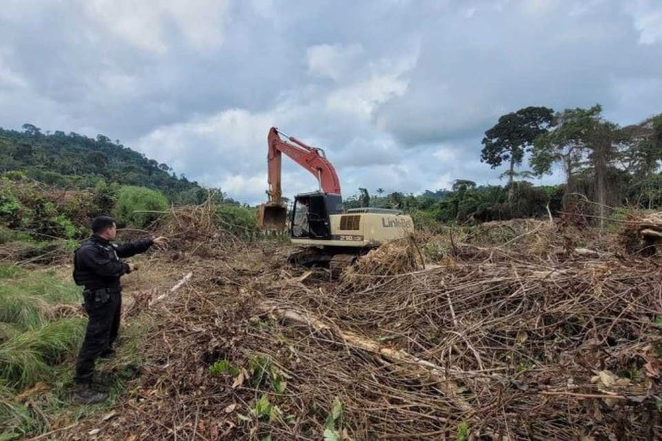PF destrói escavadeiras e veículos de garimpeiros ilegais no Pará