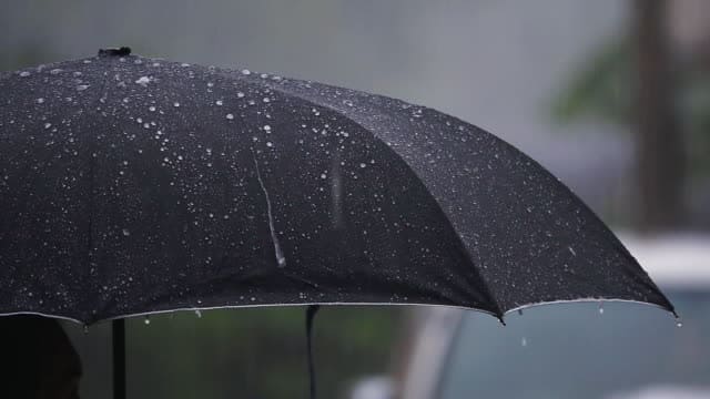 Prefeitura de Manaus atende sete ocorrências de chuva na manhã deste sábado, (23)