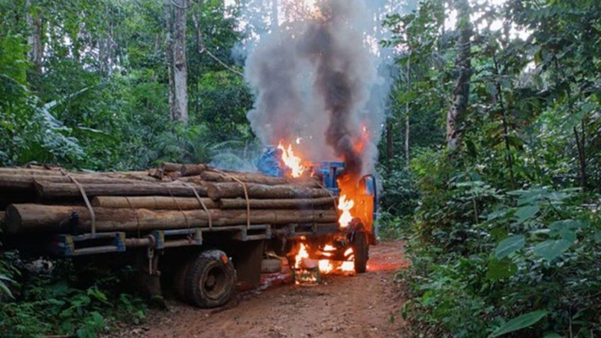 PF deflagra operação para combater crimes ambientais em reservas indígenas