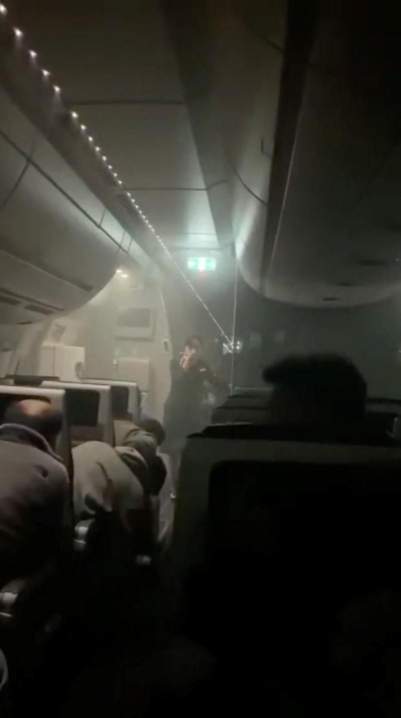Japan Airlines proíbe animais na cabine e levanta polêmica