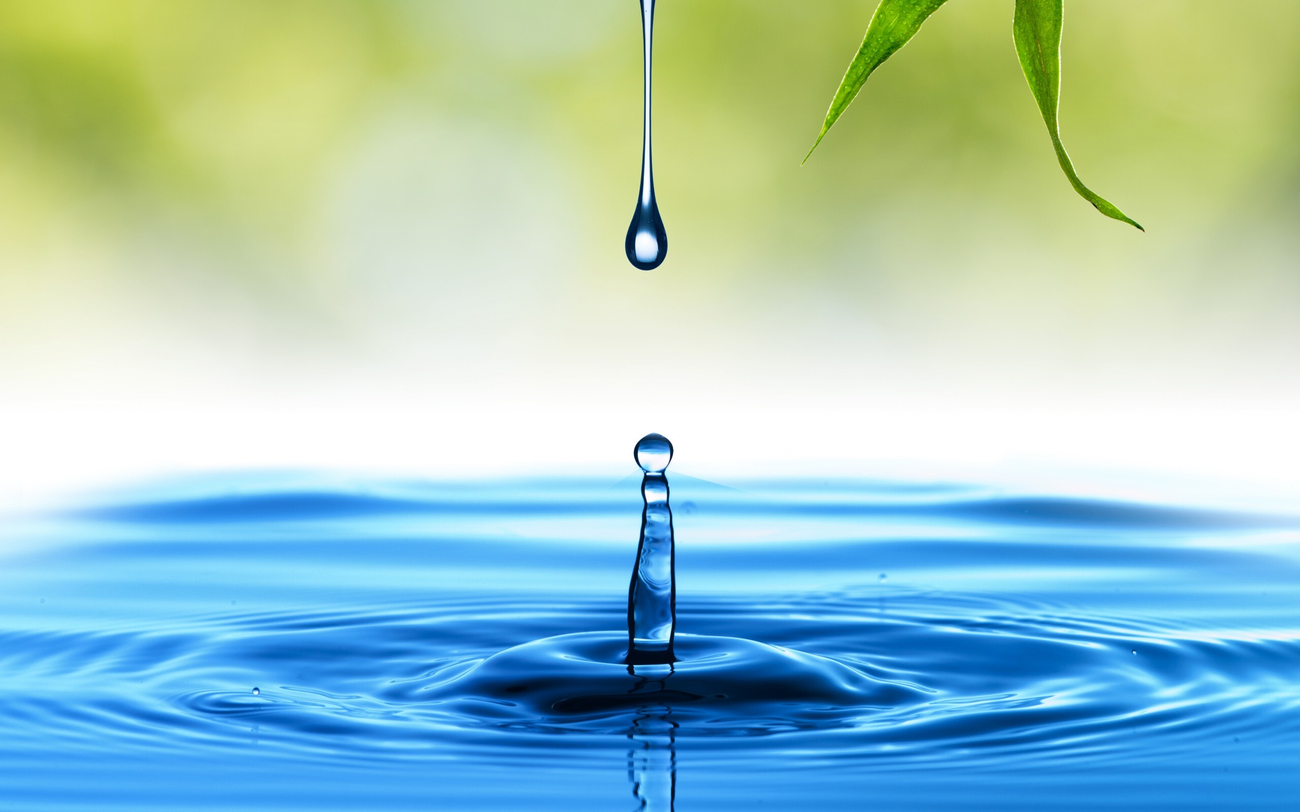 Gestão adequada da água garantirá um futuro sustentável