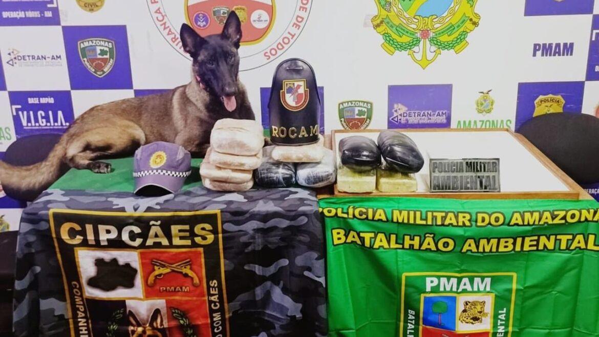 SSP-AM apreende drogas, armas e munições avaliadas em mais de R$ 700 mil