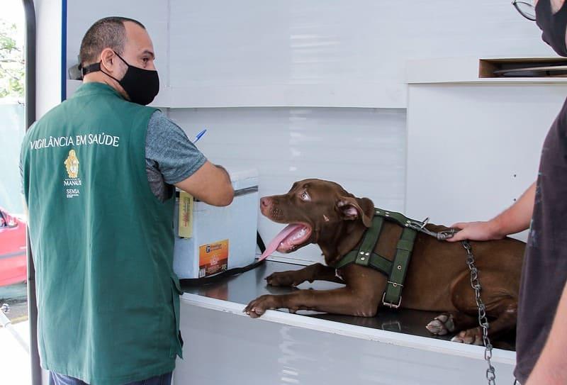 Profissionais orientam tutores de animais a evitarem faltar aos serviços de castração agendados no CCZ