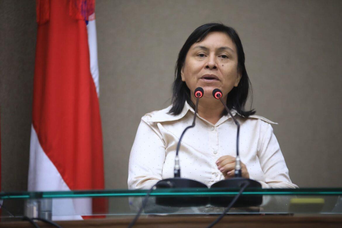 Assembleia Legislativa do Amazonas realiza Cessão de Tempo para tratar sobre feminicídios no Careiro