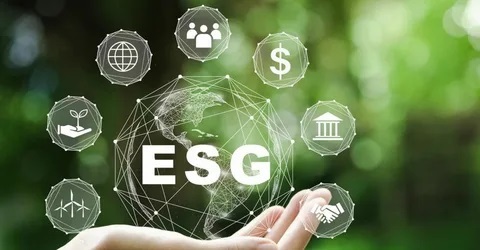 Ações em ESG norteiam investimentos e definem preferências de consumo