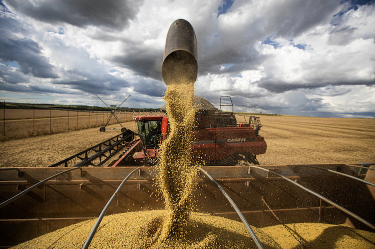 Falta de clareza na lei antidesmatamento europeia preocupa agroexportadores