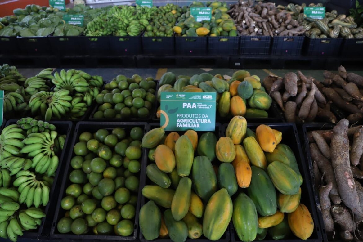No Amazonas, mais de 1,2 mil produtores rurais tiveram suas produções compradas pelo Programa de Aquisição de Alimentos (PAA)
