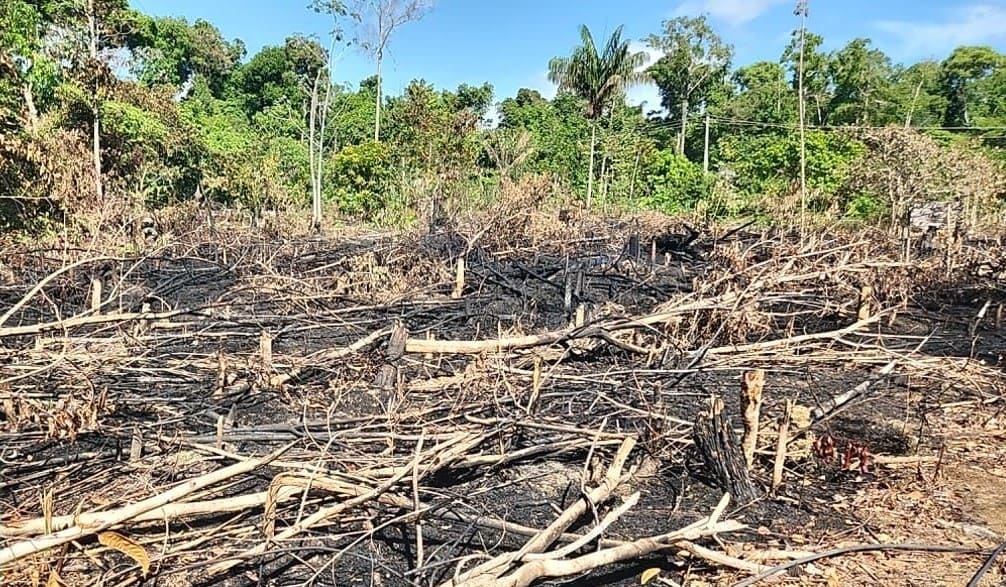 Crimes contra o meio ambiente: Polícia Civil alerta a população sobre riscos da prática das queimadas