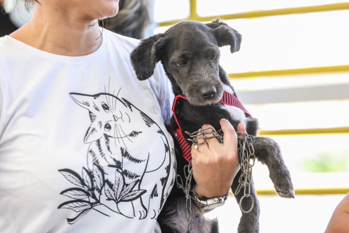 Polícia Civil alerta que maus-tratos contra animais podem resultar em prisão de 2 a 5 anos