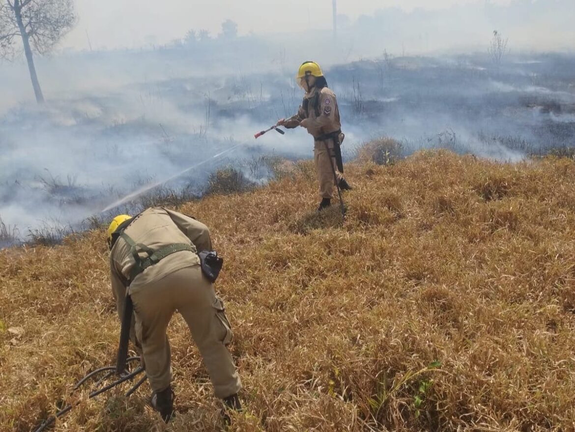 Em Apuí, Corpo de Bombeiros combate incêndio em área de pasto