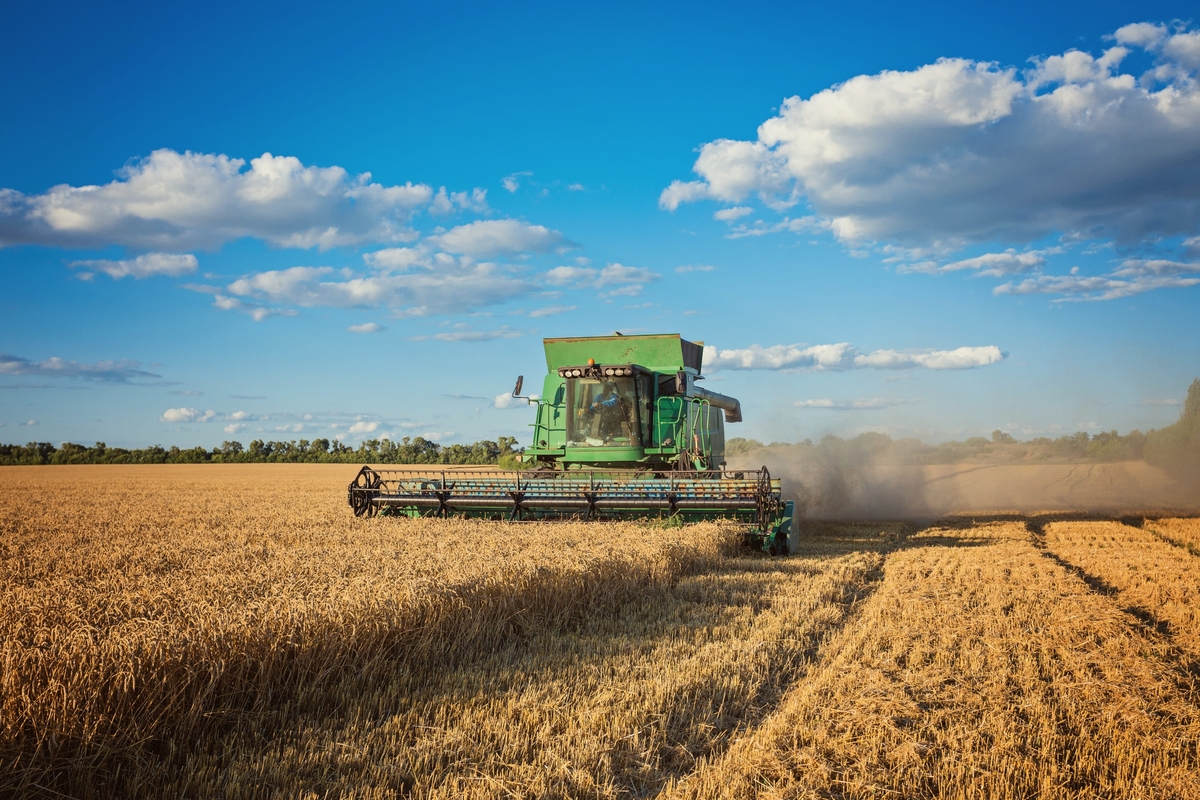 Puxado pelo agronegócio, PIB de Mato Grosso cresce 1.116,2%