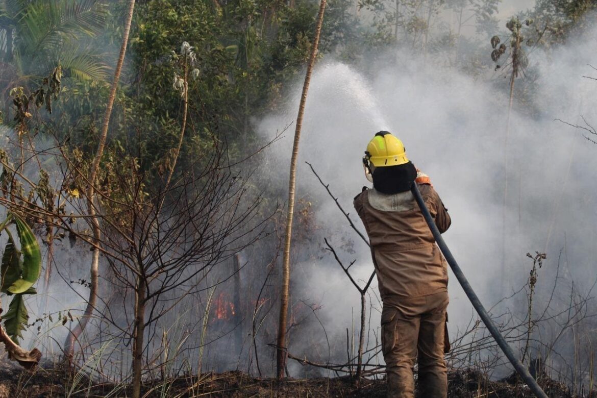 Em dois meses, Operação Aceiro 2024 já combateu 4.276 focos de incêndios no interior