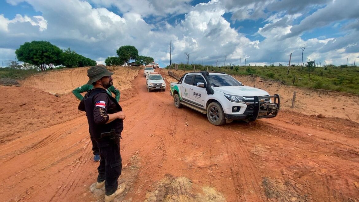 Em 20 dias, operação Tamoiotatá aplicou mais de R$ 16 milhões em multas por crimes ambientais em três municípios do Amazonas