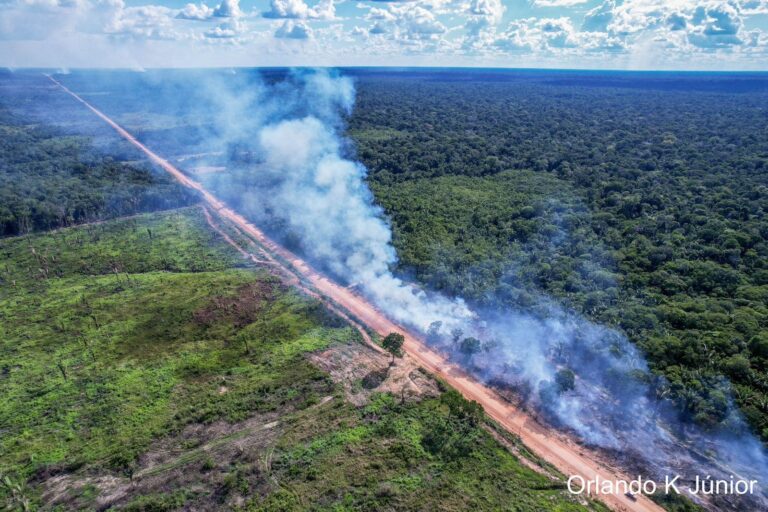 Observatório BR-319 lança mapa interativo com dados sobre área de influência da rodovia 