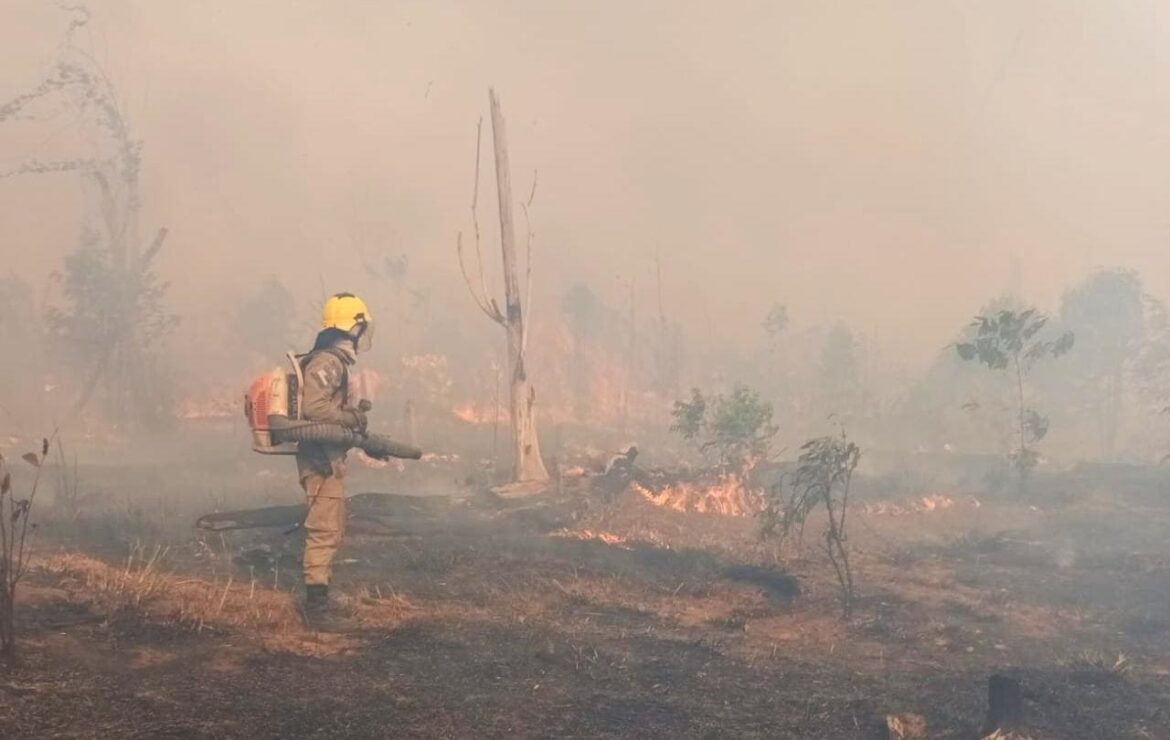 Bombeiros da Operação Aceiro combatem incêndio em área de pasto, no Apui