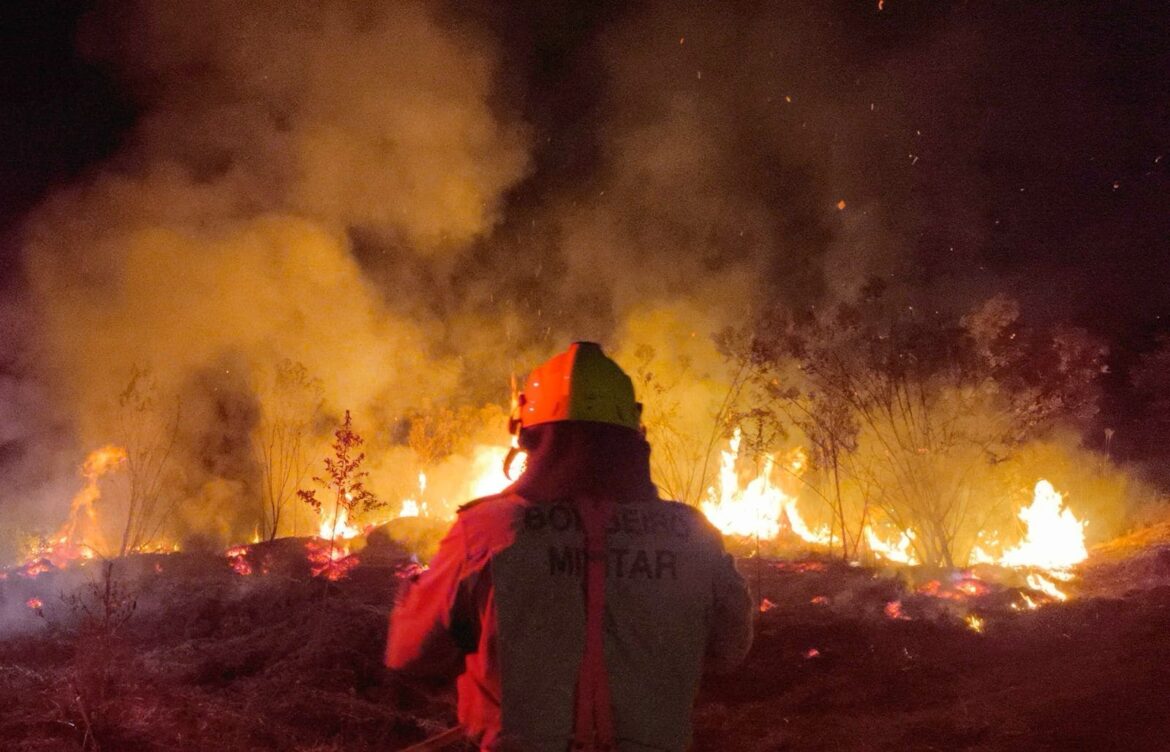 Operação Aceiro: Corpo de Bombeiros combate incêndio em área de vegetação no município de Boca do Acre