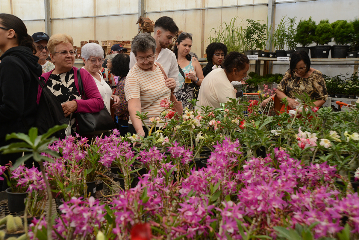 Festa de Flores e Morangos atrai 80 mil visitantes