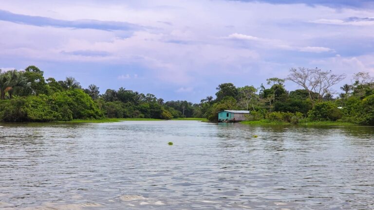 Dia da Amazônia: Assembleia Legislativa do Amazonas destaca Leis voltadas à proteção ambiental