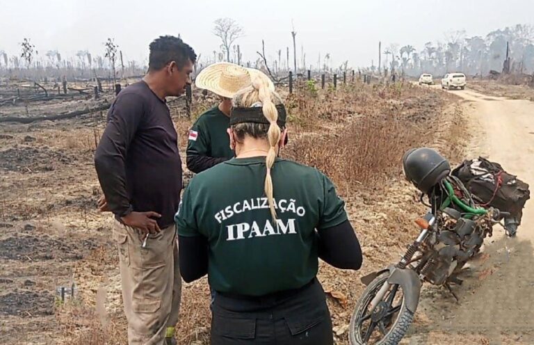 Operação Tamoiotatá: Ipaam aplica mais de 100 milhões em multas, em 140 dias de operação no sul do Amazonas