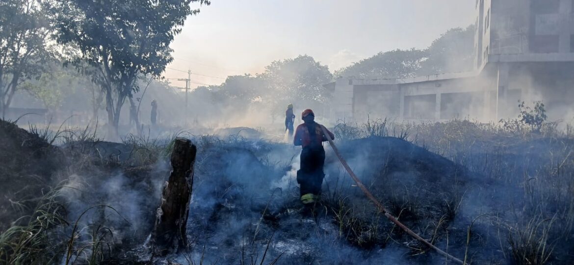 Corpo de Bombeiros combate 18 incêndios em áreas de vegetação em Manaus