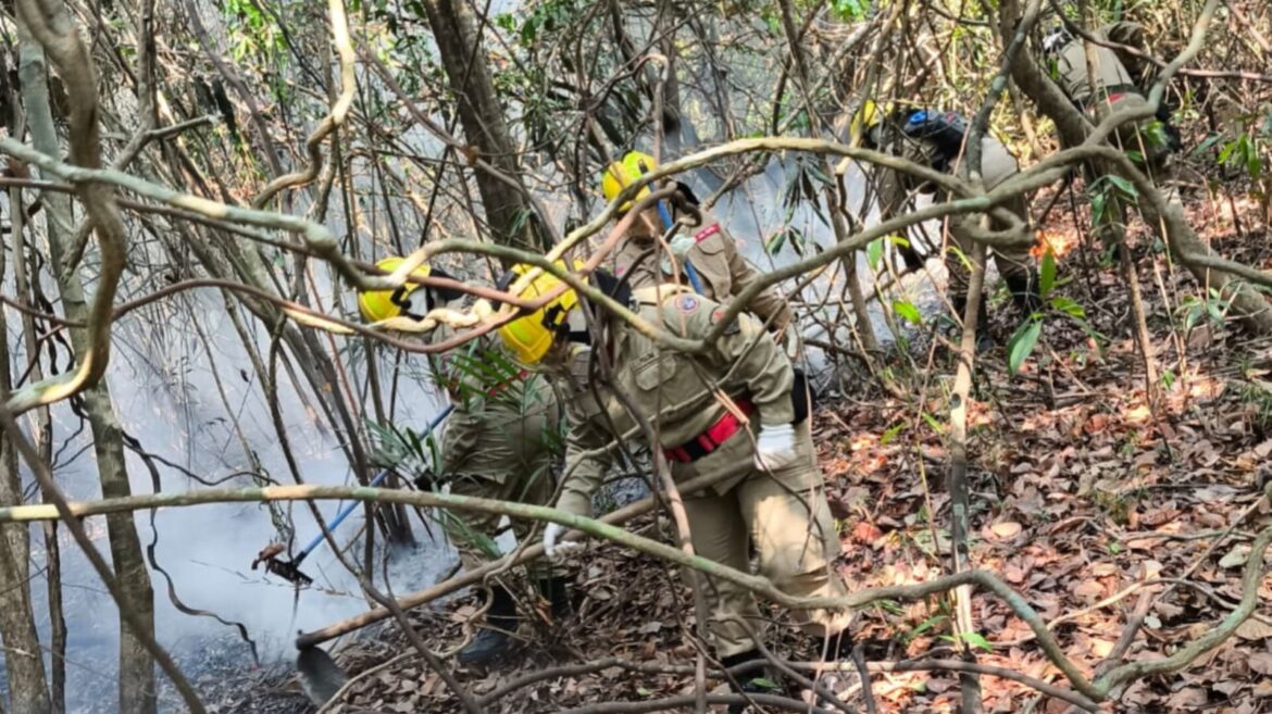 Corpo de Bombeiros monta força-tarefa para extinguir incêndio em Iranduba