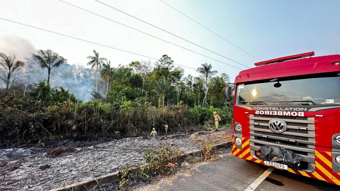 Força-tarefa do Corpo de Bombeiros combate mais de 300 focos de incêndio em 24 horas, em Iranduba