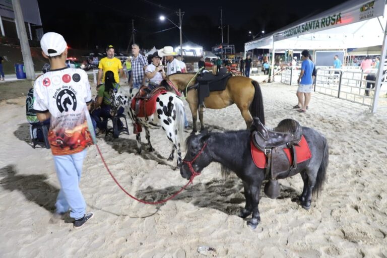 Expoagro 2024: Público infantil tem programação especial