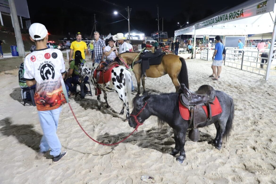 Expoagro 2024: Público infantil tem programação especial