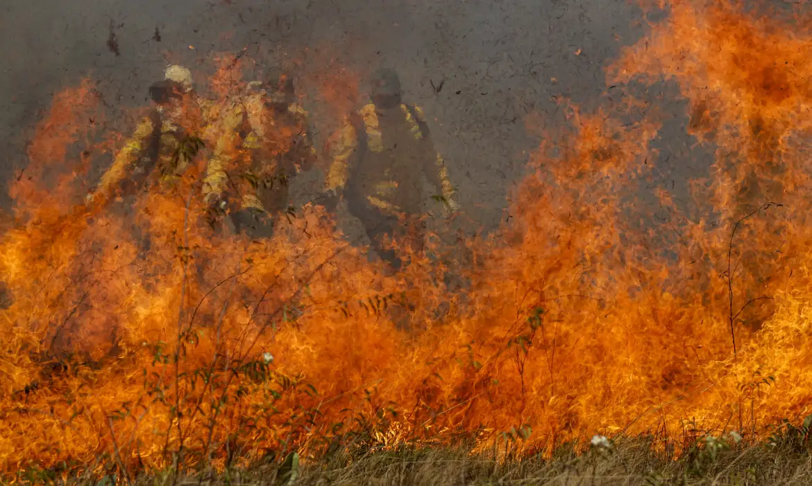 Pantanal tem quase 2.000% de focos de incêndio a mais do que no ano passado