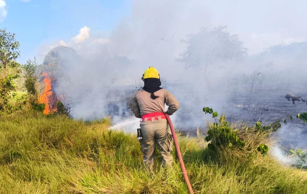 Corpo de Bombeiros combateu mais de 20 mil focos de incêndio com as Operações Aceiro e Céu Limpo