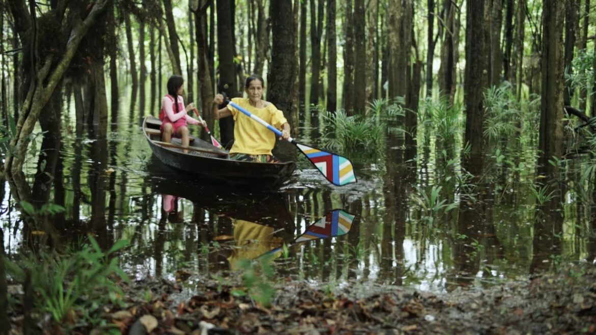 "Sete Cores da Amazônia" brilha na 23ª Mostra de Cinema Infantil de Florianópolis