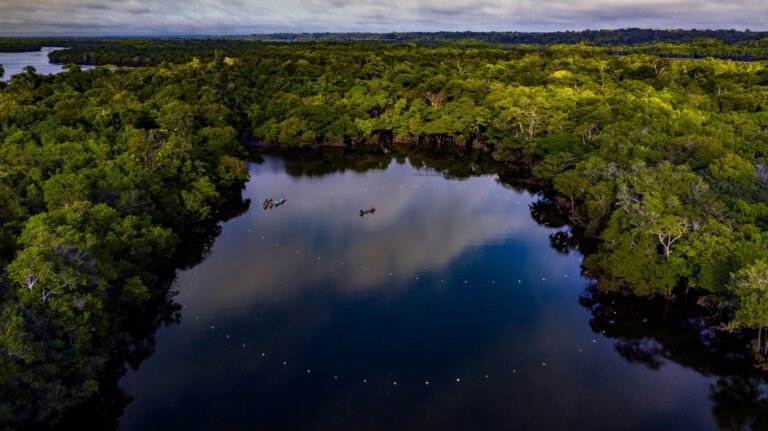 Seca dos rios no Amazonas ameaça o manejo do pirarucu