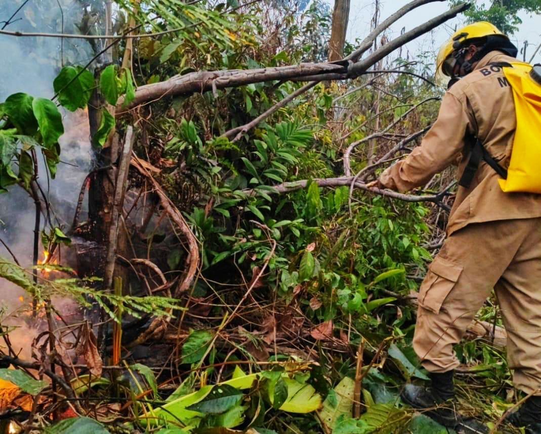 Corpo de Bombeiros combate incêndio em área de vegetação na comunidade Parque das Tribos