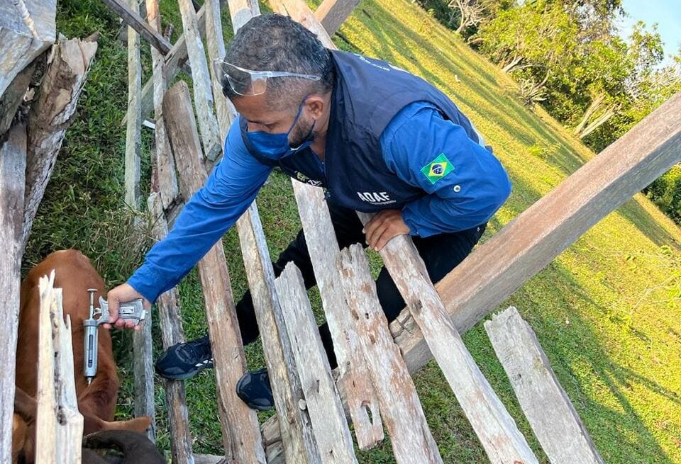 Vacinação obrigatória contra a raiva não será prorrogada em Santo Antônio do Içá, alerta Adaf