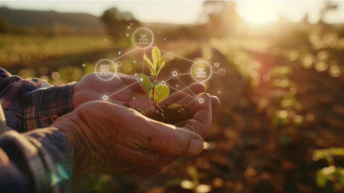 Apenas 19% do agro brasileiro tem maturidade tecnológica