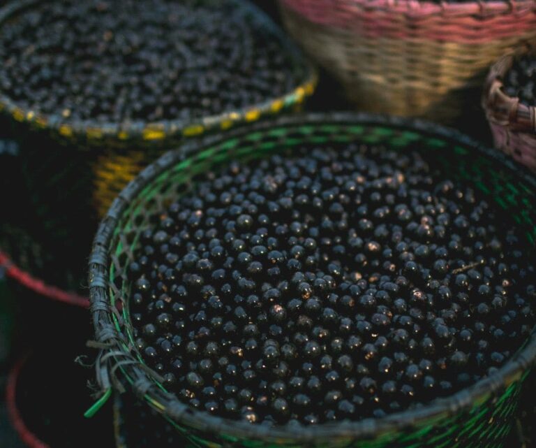 Açaí: produto que mais teve valor de produção em 2023 no Brasil