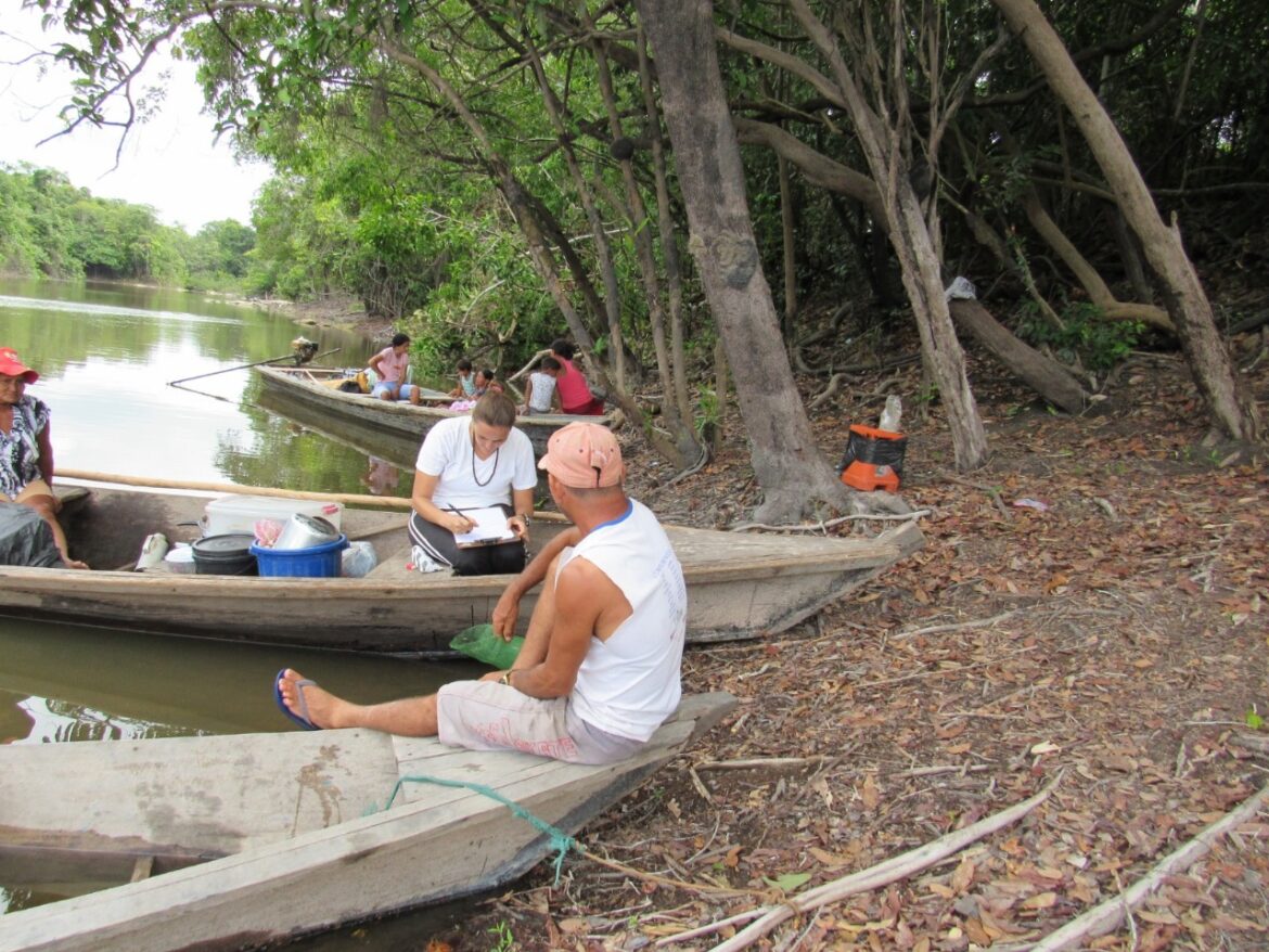 Pesquisa apoiada realizada no Amazonas busca as origens da domesticação de plantas na bacia do alto rio Madeira